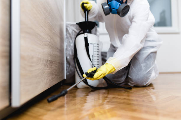Pest Control Cost in Saddle Rock, NY