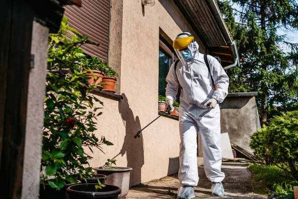 Best Pest Prevention Services  in Saddle Rock, NY
