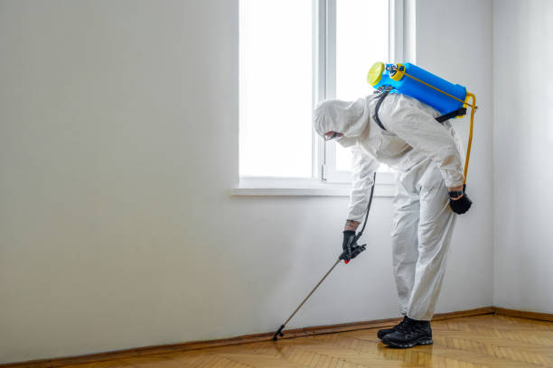 Best Best Pest Control Companies  in Saddle Rock, NY