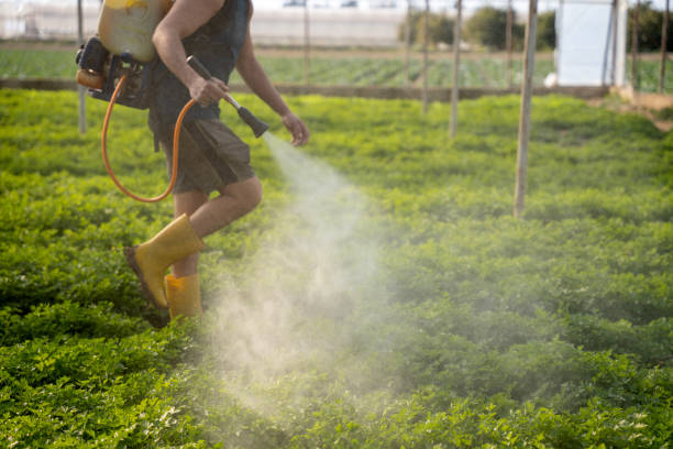 Best Pest Control for Homes  in Saddle Rock, NY